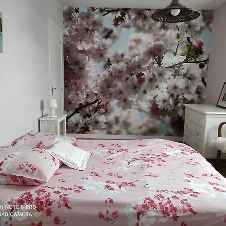 Les Lilas Nyaraló Paimpol